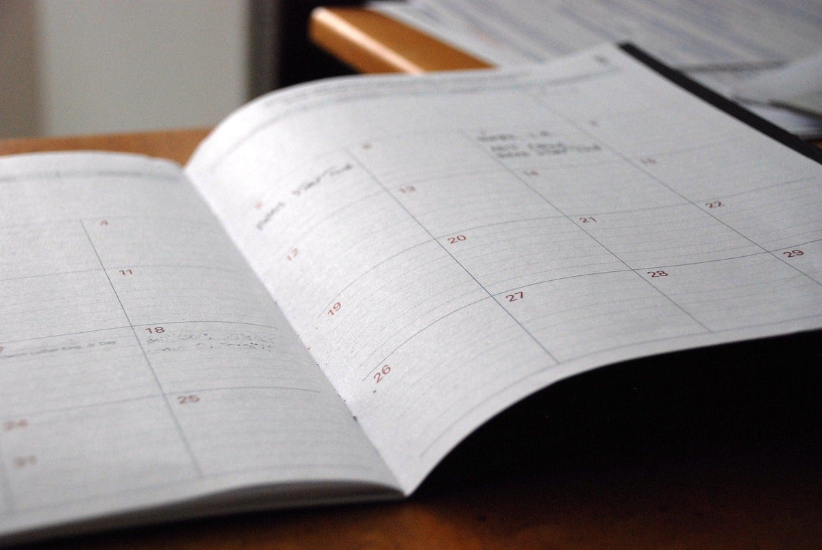 Gloves for occasions | the social calendar-Cornelia James