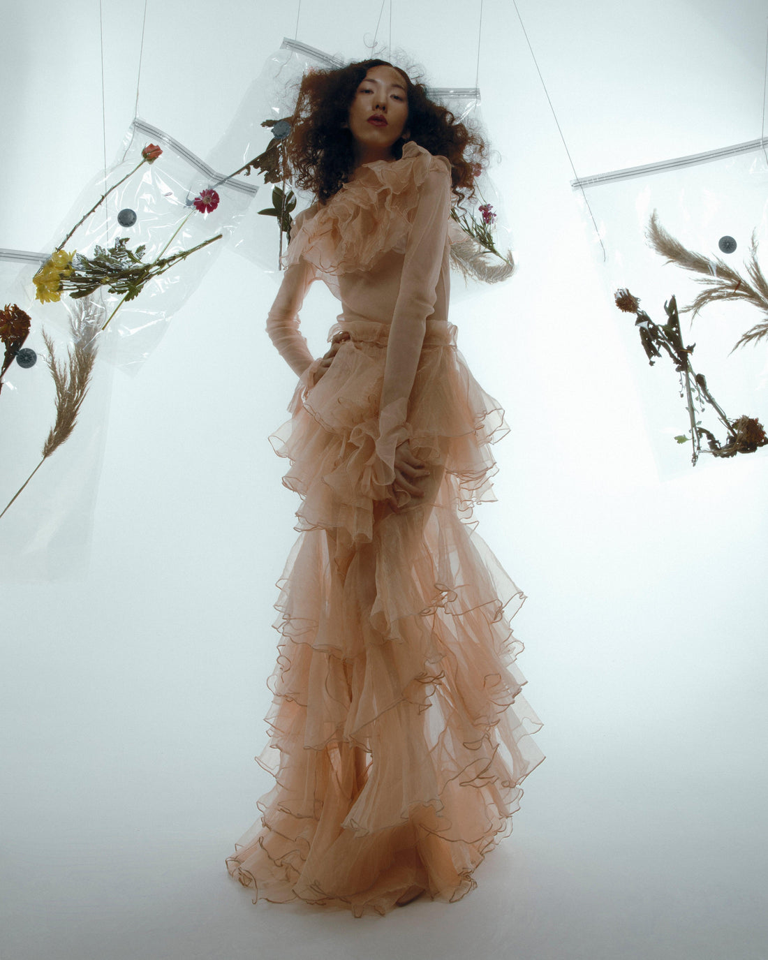 Jing Qi | House of Solo-Cornelia James